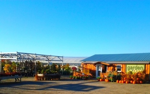 the shop of arthur greenhouses