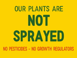 we don't use pesticides