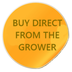 buy direct from the grower-buy at arthur greenhouses