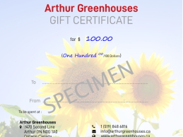 gift certificate